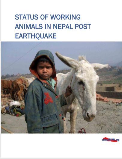 Status of Working Animals Post Earthquake