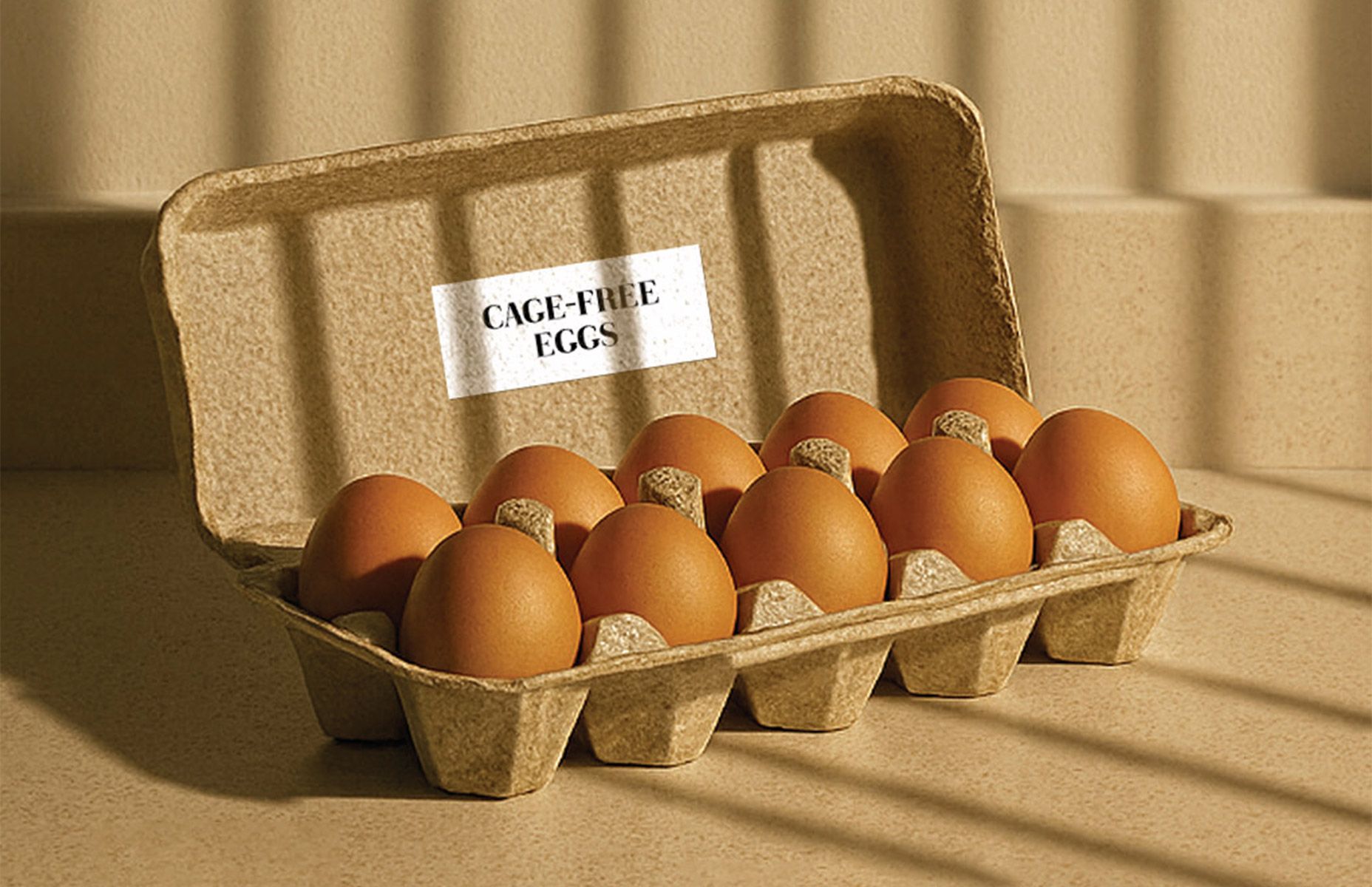 Cage Free Eggs
