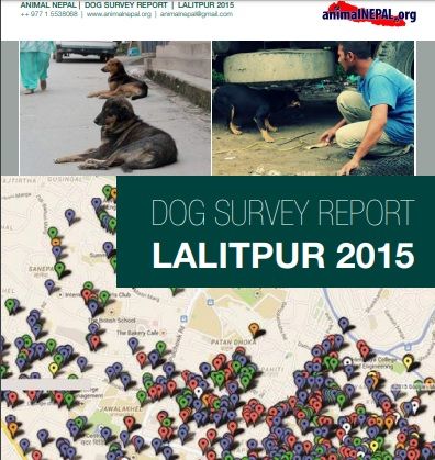 Dog Survey Report Lalitpur 2015