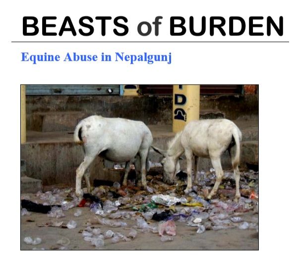 Beasts of Burden