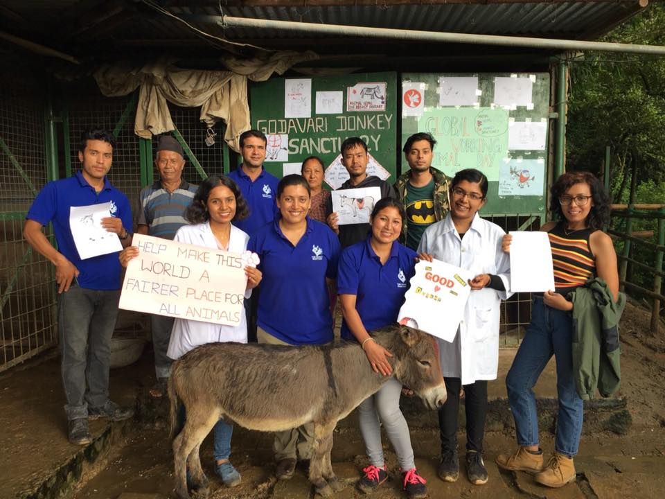 September 2018 - Newsletter