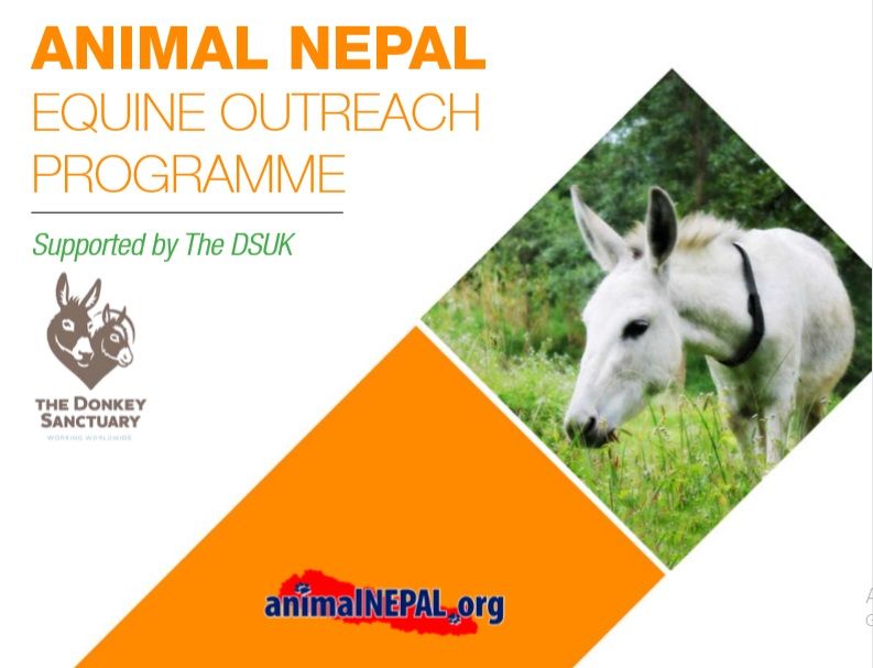 Equine Outreach Programme