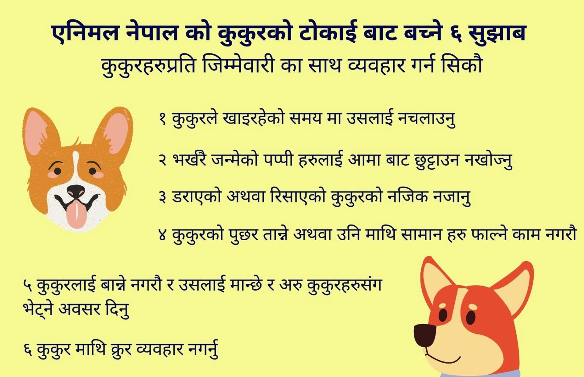 Animal Nepal's 6 Tips On Dog Bite Prevention in Nepali