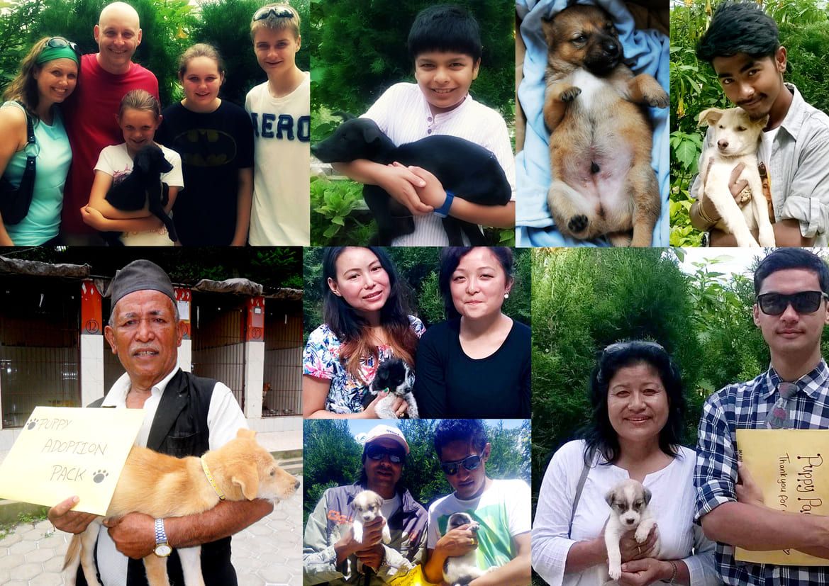 August 2014 - Newsletter