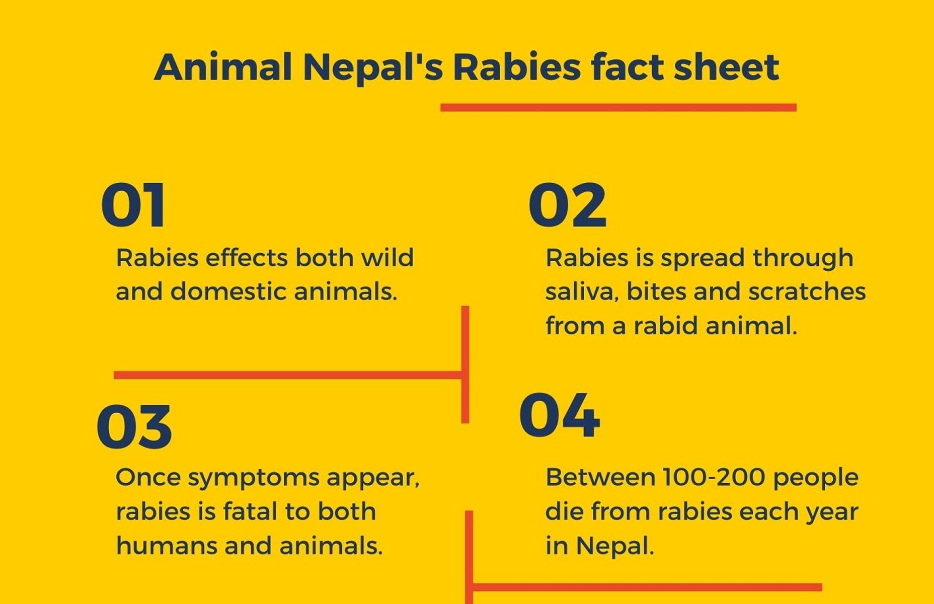 Animal Nepal's Rabies Fact Sheet in English