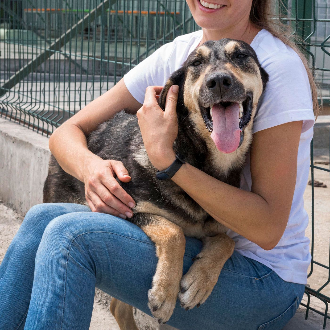 Dog Adoption Guideline Banner