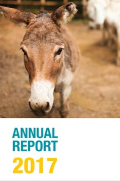 Annual Report 2017