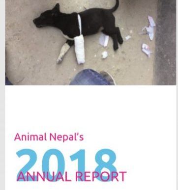 Annual Report 2018