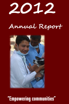 Annual Report 2012