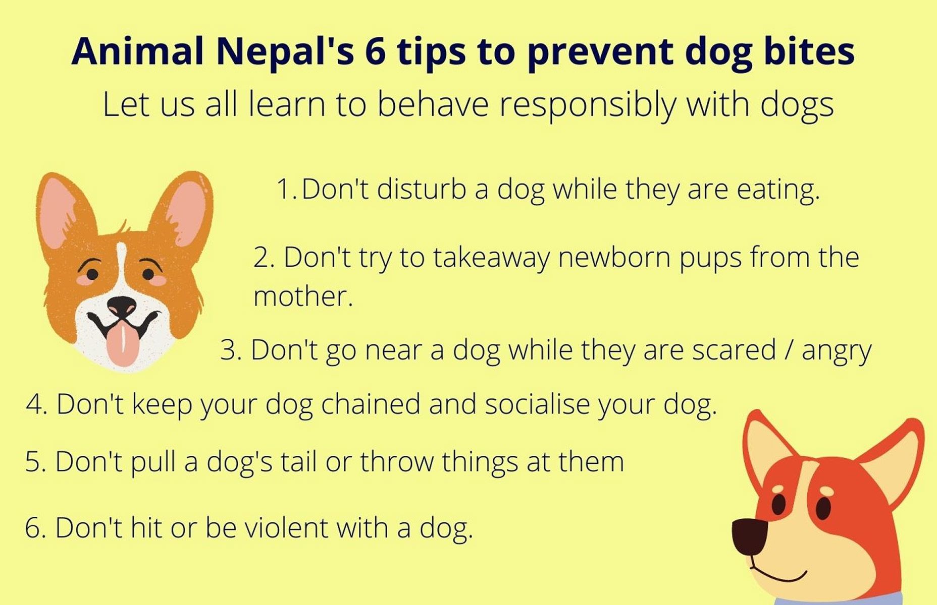 Animal Nepal's 6 Tips On Dog Bite Prevention in English
