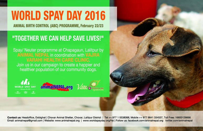 February 2016 - Newsletter