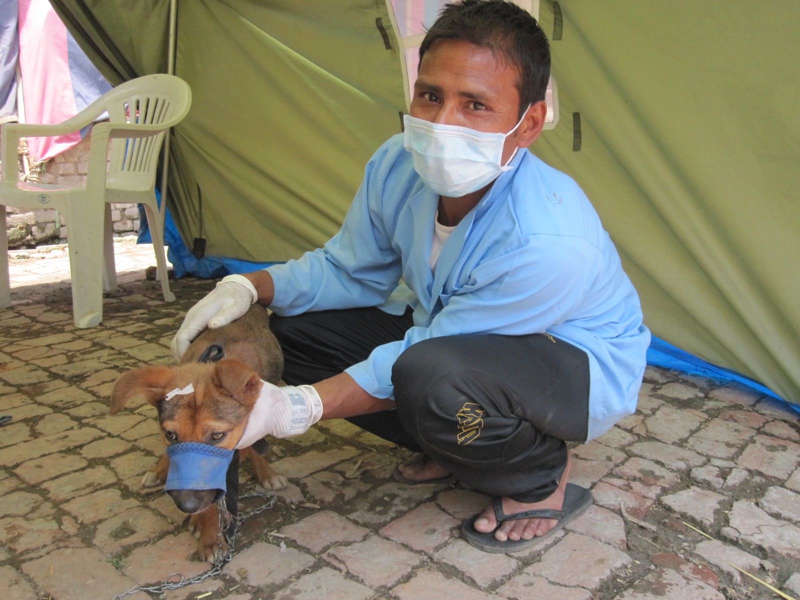 October 2013 - Newsletter