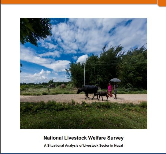 National Livestock Welfare