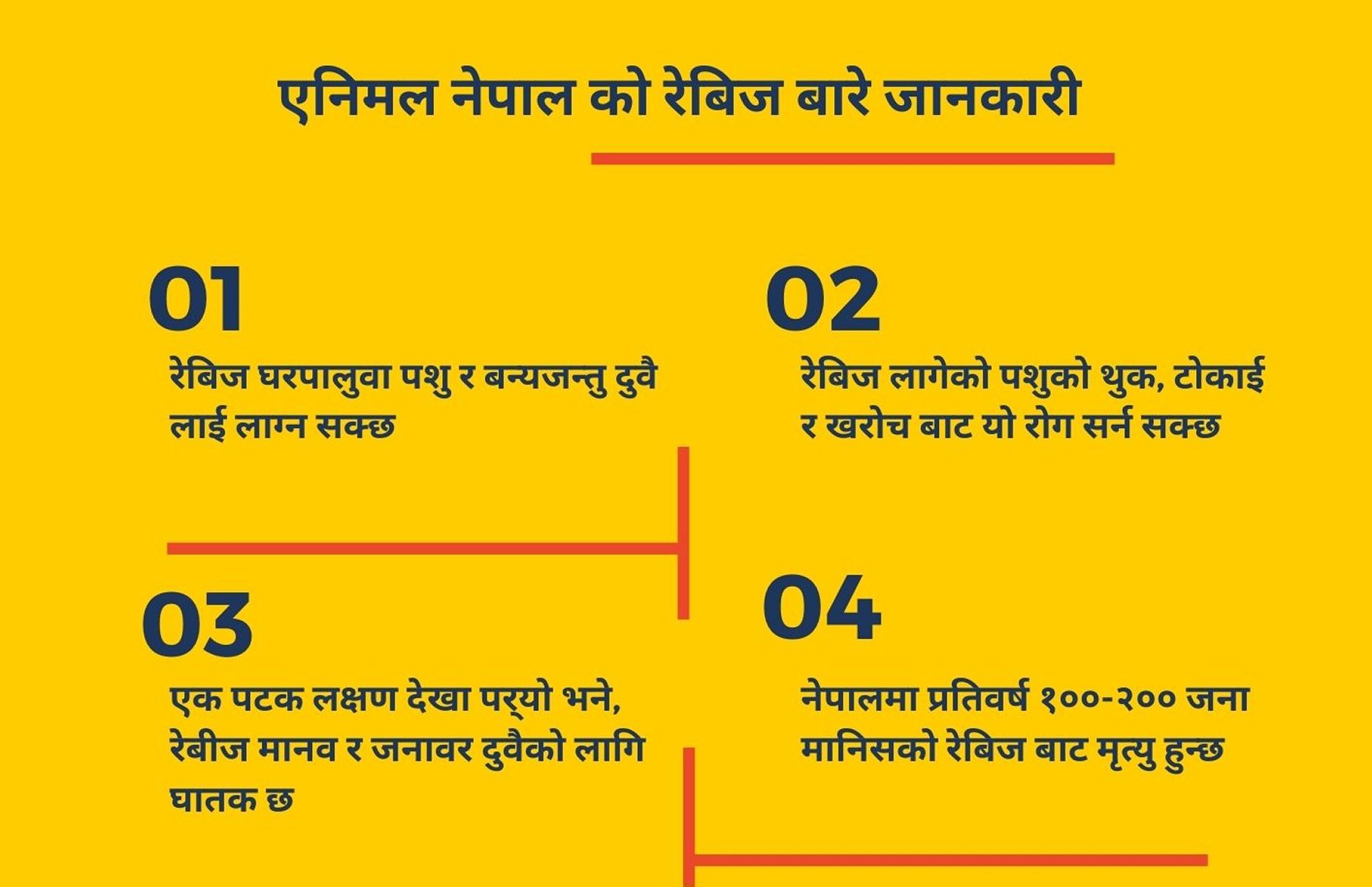 Animal Nepal's Rabies Fact Sheet in Nepali