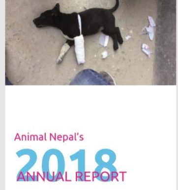 Annual Report 2018