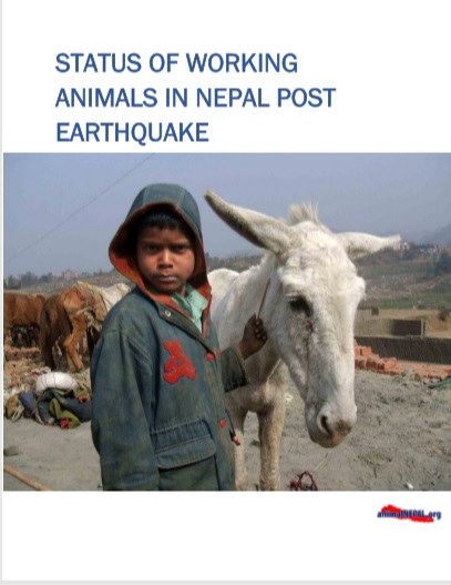 Status of Working Animals Post Earthquake