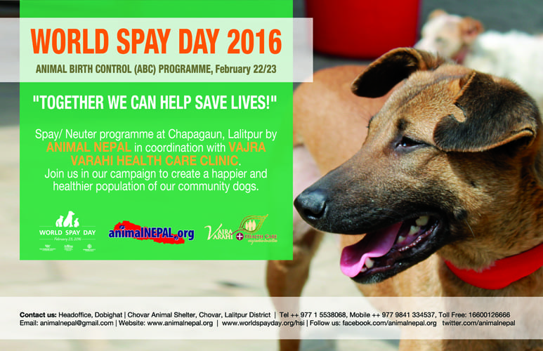February 2016 - Newsletter